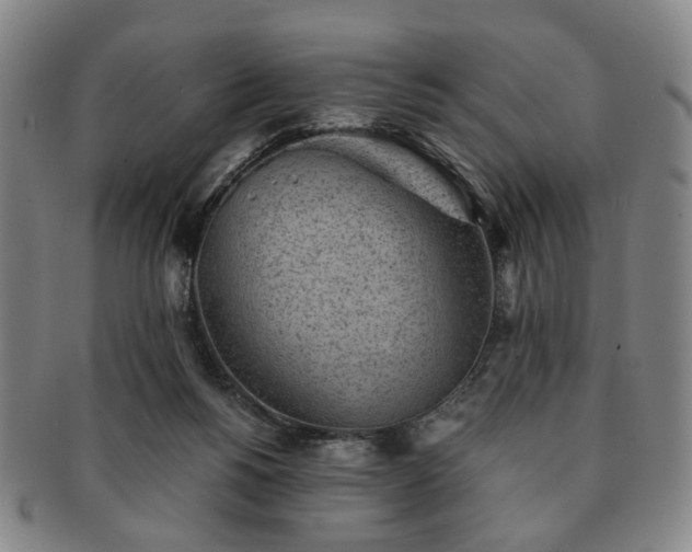X0000091570168200708271206