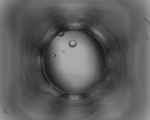 X0000091570169200708271206