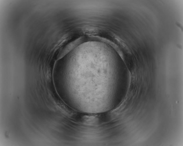 X0000091570170200708271206