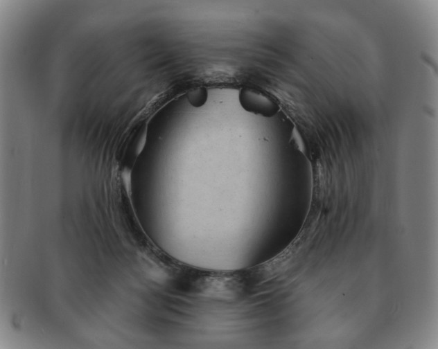 X0000091570172200708271206
