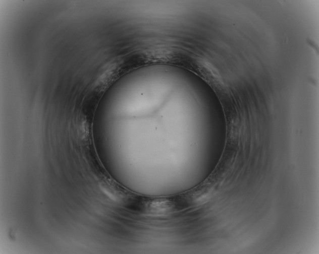 X0000091570173200708271206