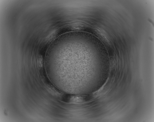 X0000091570174200708271206