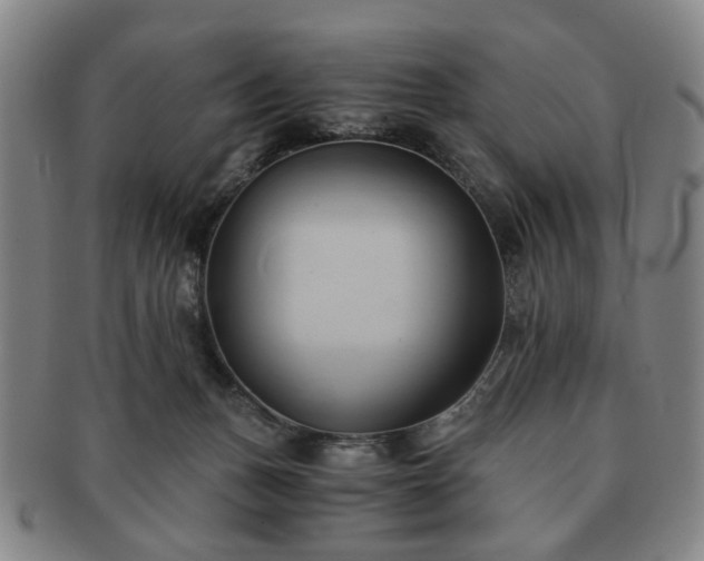 X0000091570175200708271206