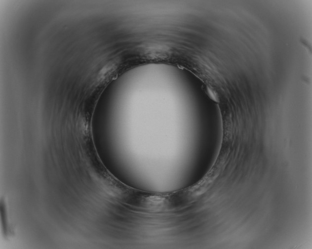 X0000091570176200708271206