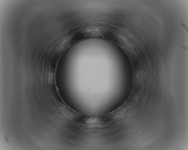 X0000091570177200708271206