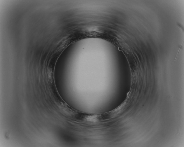 X0000091570178200708271207