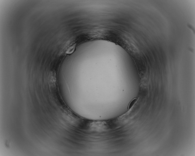 X0000091570179200708271207
