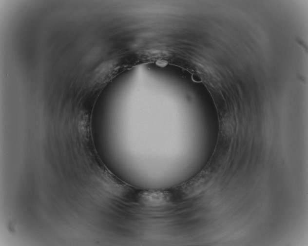 X0000091570181200708271207