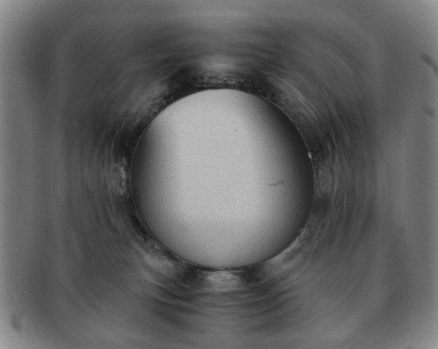 X0000091570183200708271207