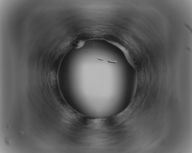 X0000091570184200708271207