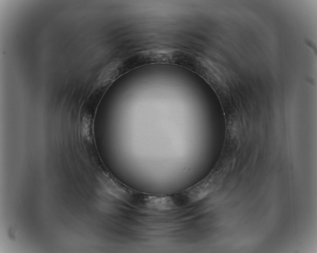 X0000091570185200708271207