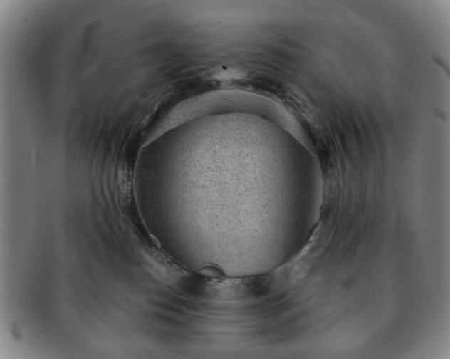 X0000091570186200708271207