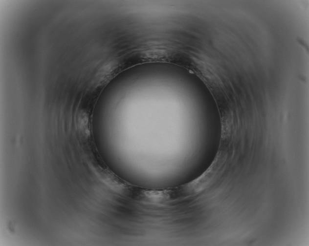 X0000091570187200708271207