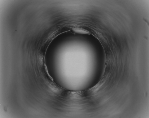 X0000091570188200708271207