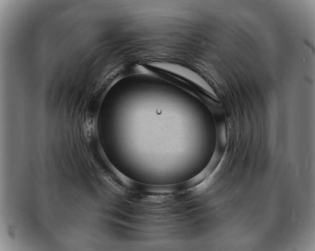 X0000091570190200708271207