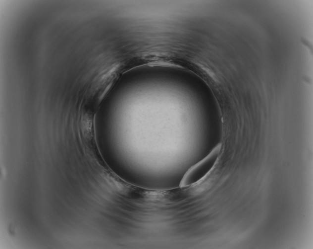 X0000091570192200708271207