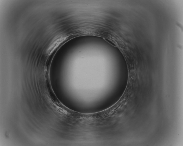 X0000091570194200708271206