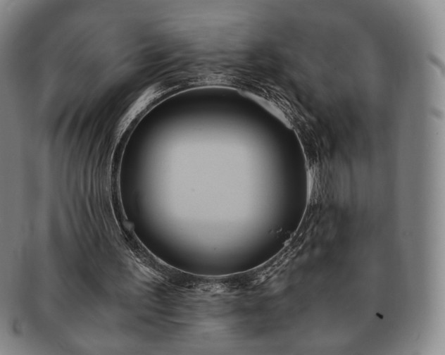 X0000091570195200708271206