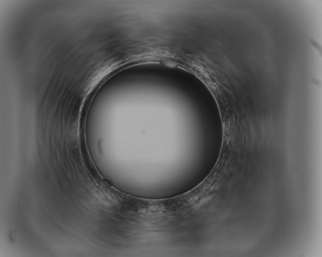 X0000091570196200708271206