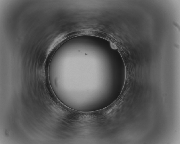 X0000091570198200708271206
