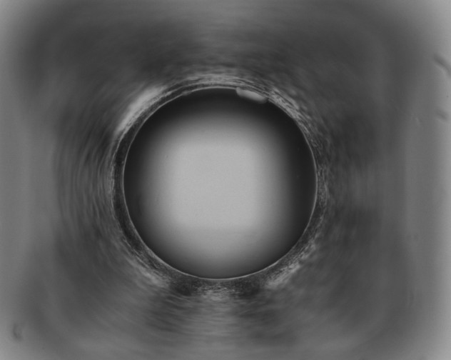 X0000091570199200708271206