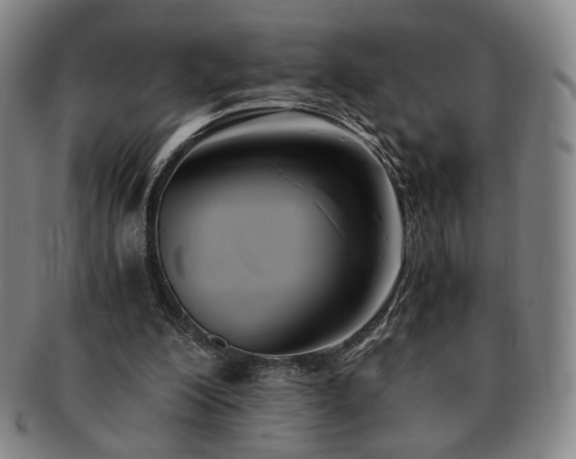 X0000091570200200708271206