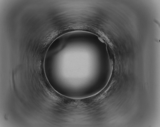 X0000091570201200708271206