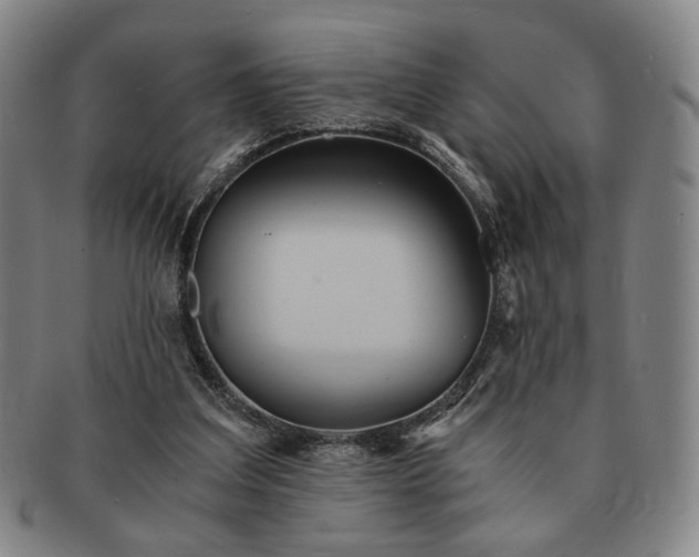 X0000091570203200708271206