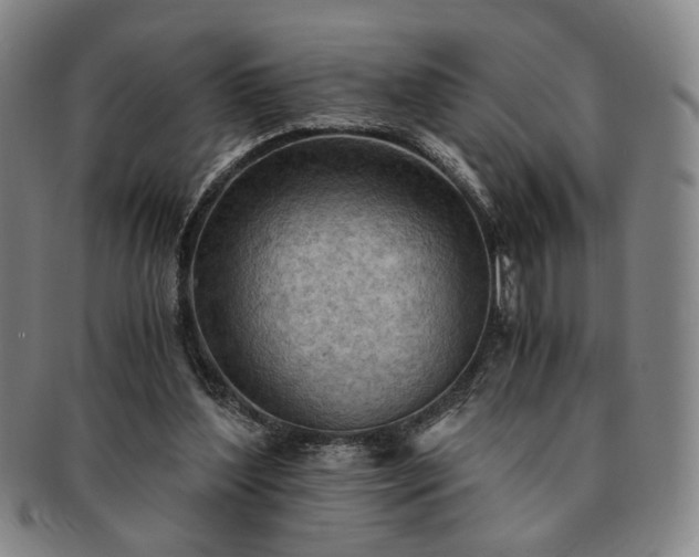 X0000091570204200708271206