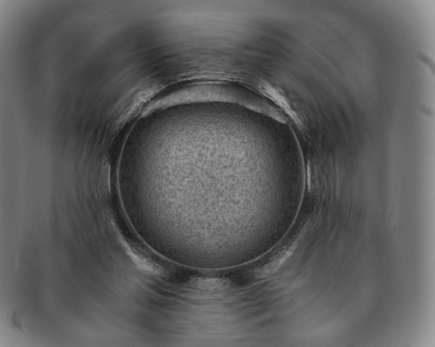 X0000091570205200708271206
