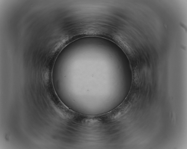 X0000091570208200708271206