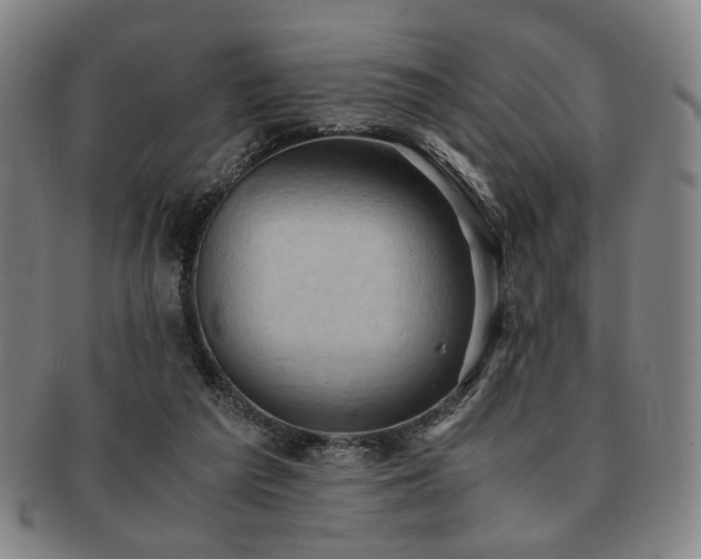 X0000091570209200708271206