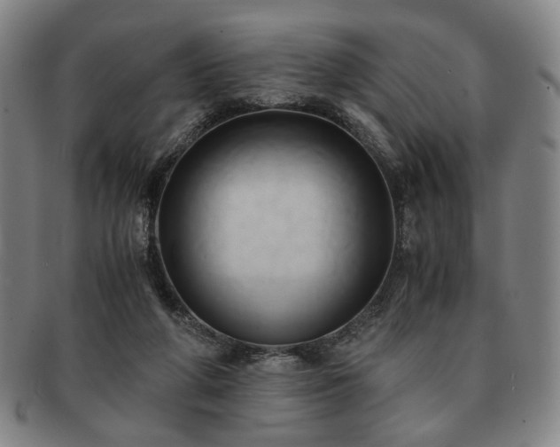 X0000091570210200708271206