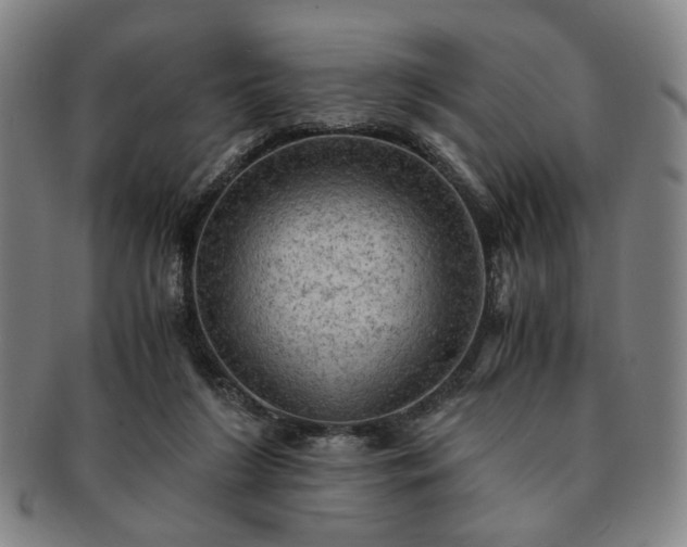 X0000091570212200708271206