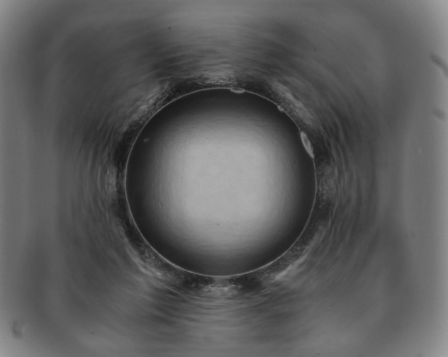 X0000091570213200708271206