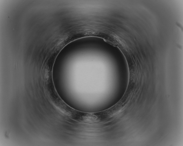 X0000091570215200708271206