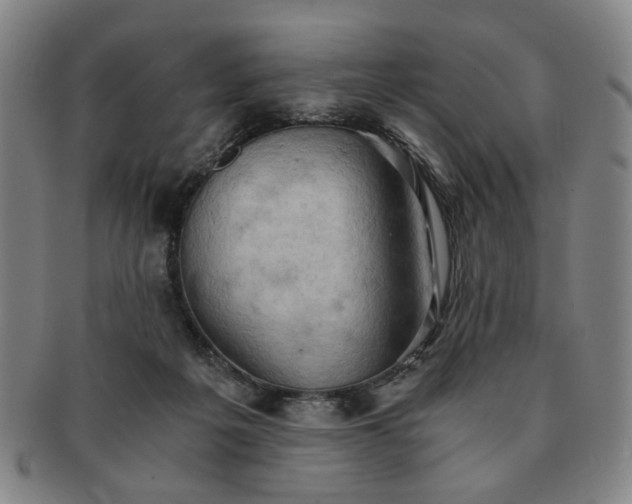 X0000091570217200708271206