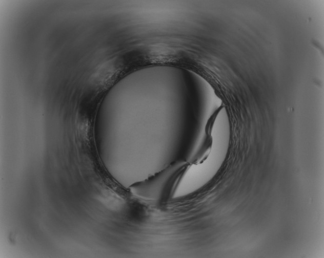 X0000091570219200708271206