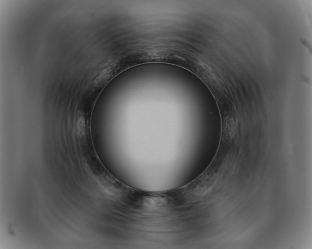 X0000091570220200708271206