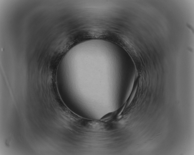 X0000091570221200708271206