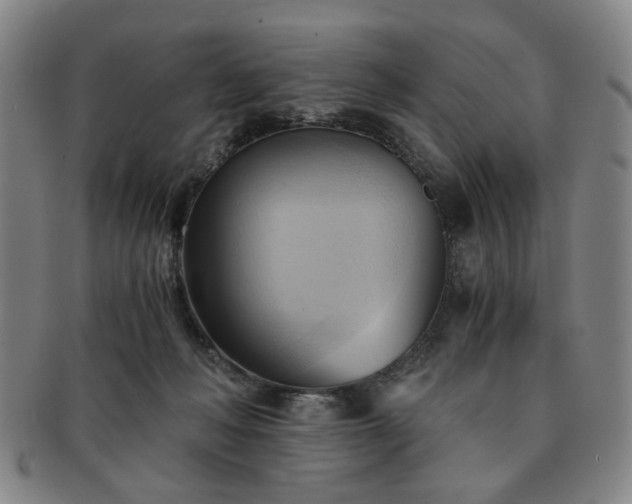 X0000091570222200708271206