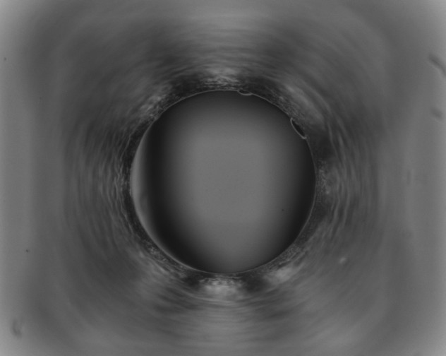 X0000091570223200708271206