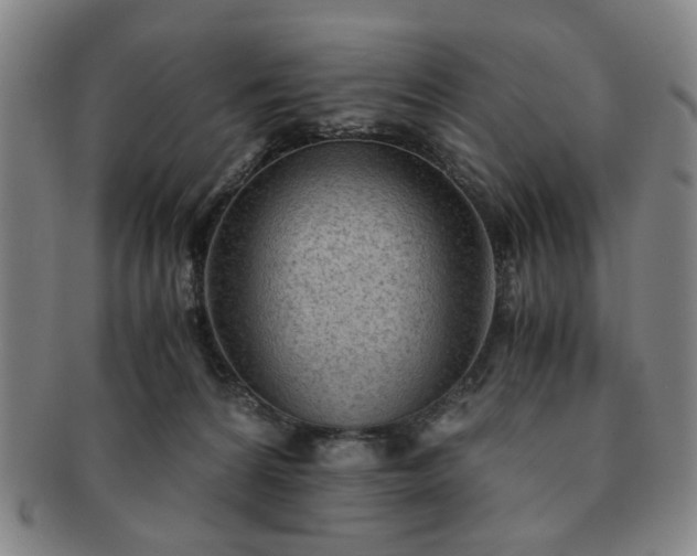 X0000091570224200708271206
