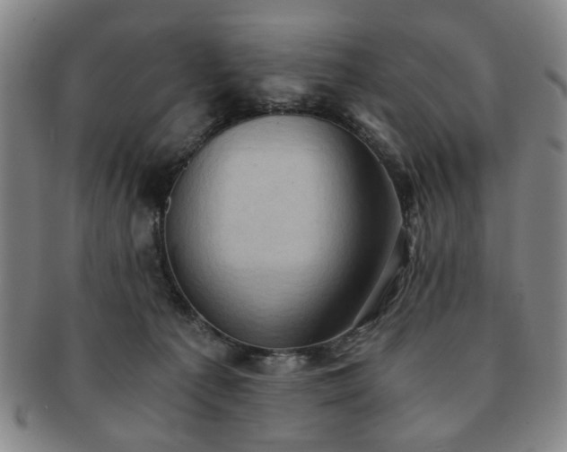 X0000091570225200708271206