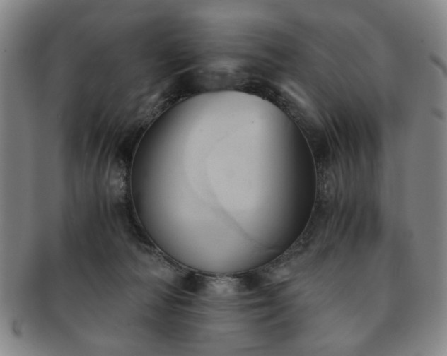 X0000091570226200708271206