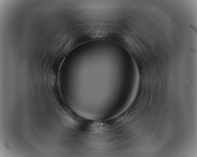 X0000091570227200708271206