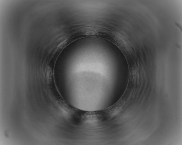 X0000091570228200708271206