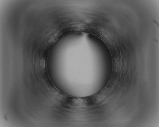 X0000091570230200708271206