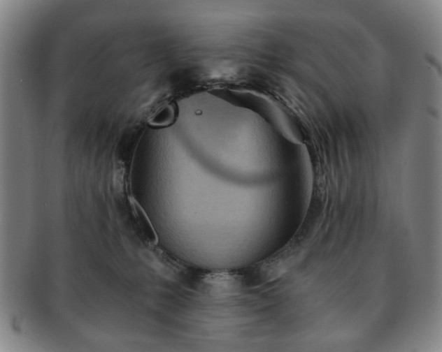 X0000091570231200708271206