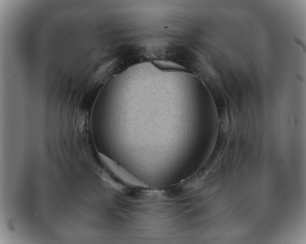 X0000091570233200708271206